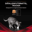 FELINE DM St/Ox Diabetes Management