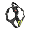 Geschirr Harmonia Lime