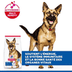 Canine Mature Adult 6+ Large Breed