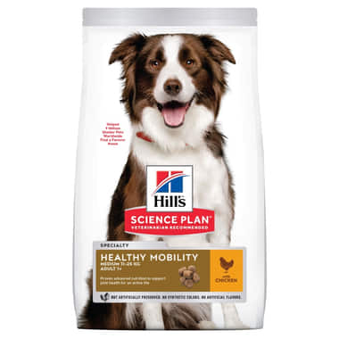 Canine Adult Healthy Mobility Medium Breed