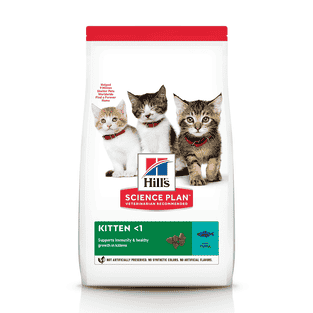 Kitten Tuna