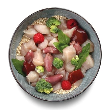 Adult Mini Chicken with Quinoa