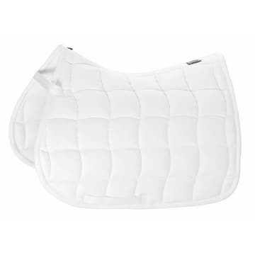 Chabraque Performance demi-sang/dressage