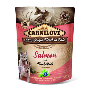 Saumon et myrtilles, pour chiots Wet