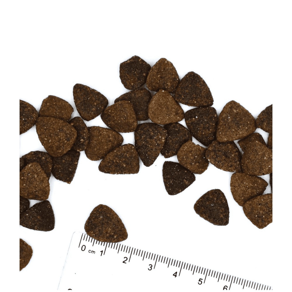 Hypoallergenic All Breeds Lachs & Thunfisch