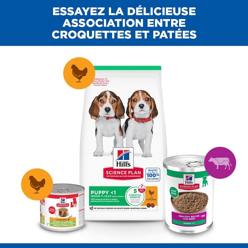 Puppy All Breeds Beef - Boîte
