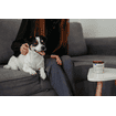 Zenidog Gel Diffuser