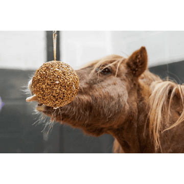 Granola Stable Ball