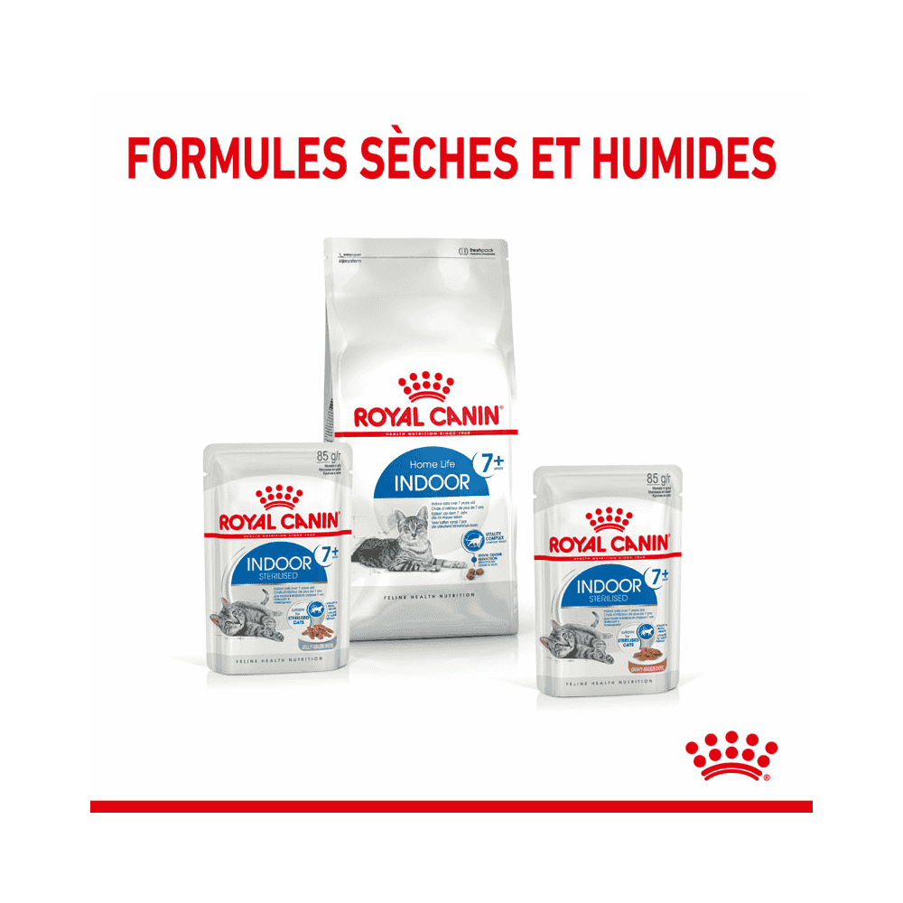 Indoor Cat 7+ en sachet