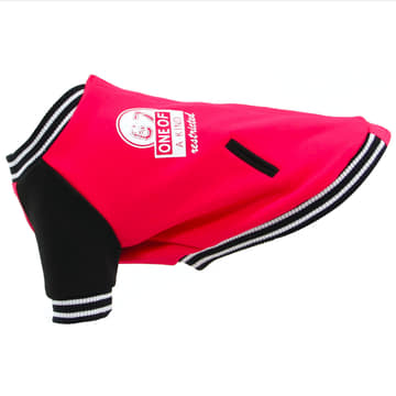 TrendLine dog coat box