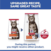 Feline Adult with Lamb