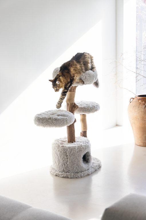Arbre à chat en bois Ziza