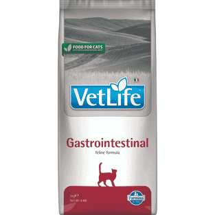 Feline Gastrointestinal