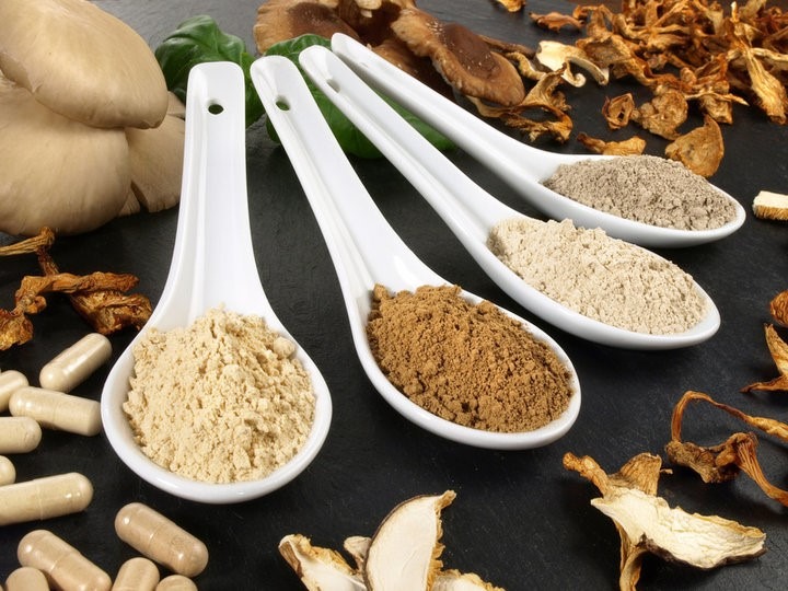 Organic Mushroom Powder STOMACH AND INTESTINES