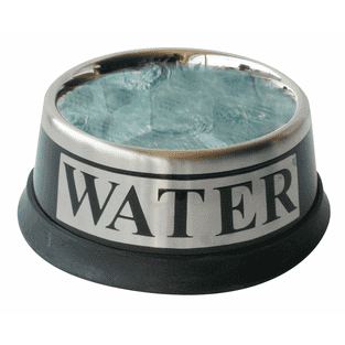 Écuelles Jumbo en acier inoxydable FOOD & WATER