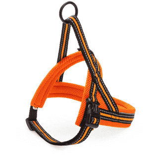 Harnais Nordic Sport orange