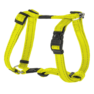 Harnais pour chien Utility jaune