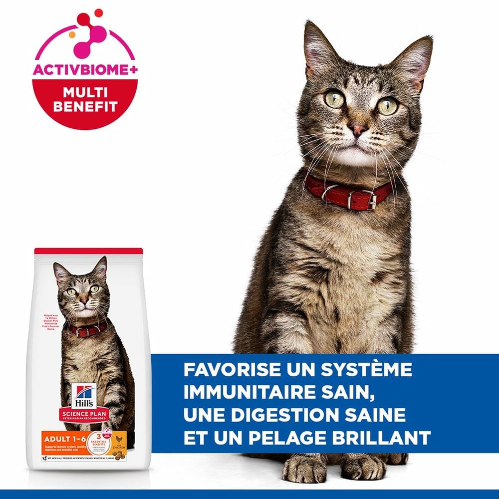 Feline Adult Chicken