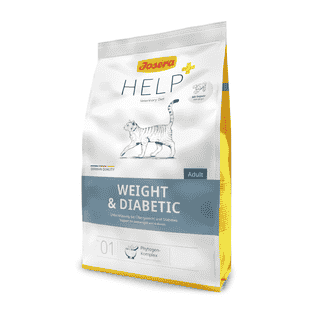Weight & Diabetic Cat