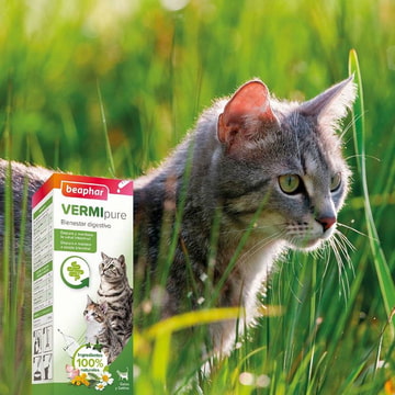 VERMIpure Verdauungshygiene für Katzen