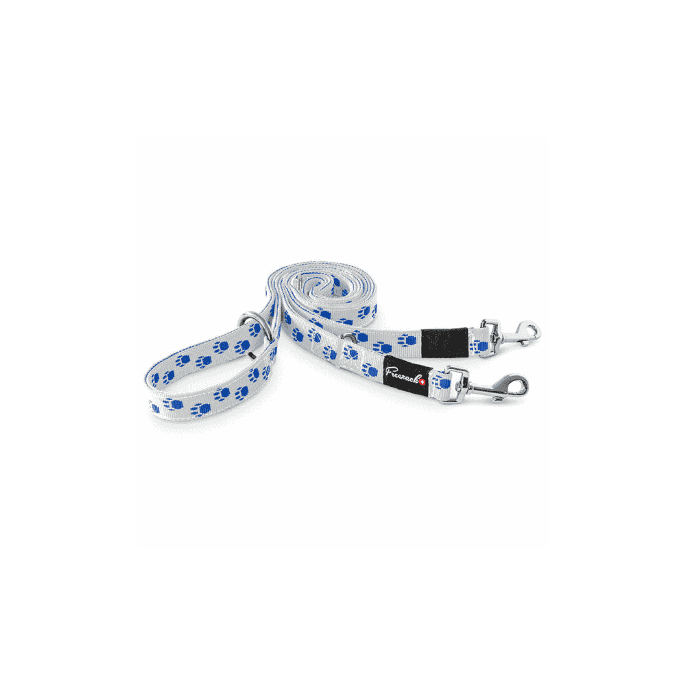 Nordic leashes blue &amp; white