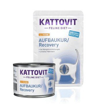 Aufbaukur/Recovery