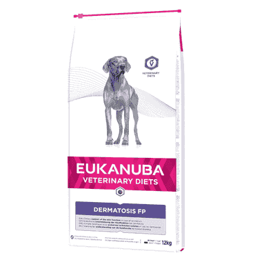 Dermatosis FP Dog