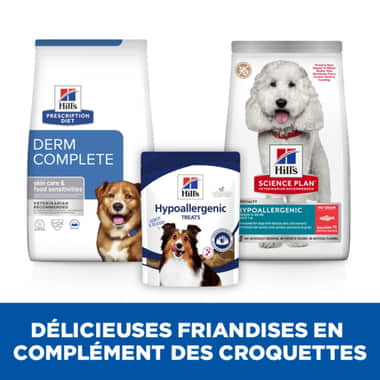 Hills prescription diet hypo treats clearance