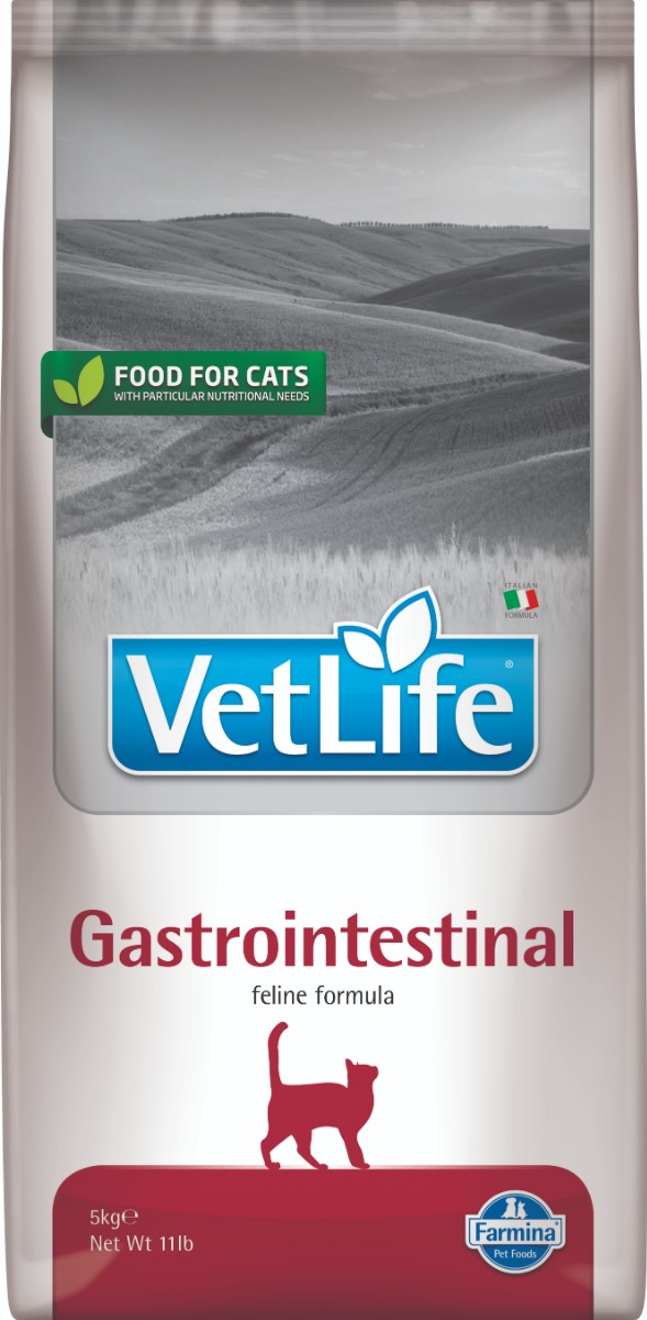 Feline Gastrointestinal