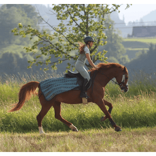 Riding fly rug Summer Stroll - green