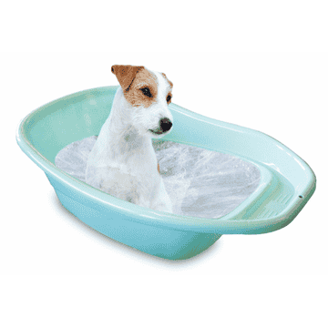 Baignoire en plastique pour petits chiens