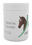 Dental Guard