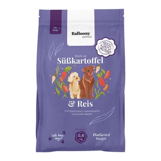 Dog Süsskartoffel & Reis Vegan