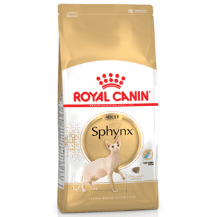 Sphynx