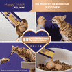Happy Snack Poulet