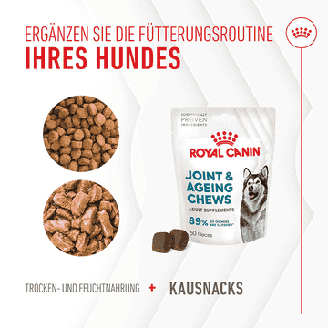 Joint &amp; Ageing Chews Adult Supplements