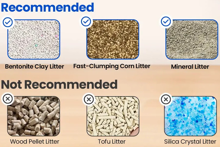 M1 Litter Box