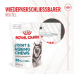 Joint & Ageing Chews Adult Supplements