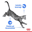 Indoor Cat 7+ - Frischebeutel