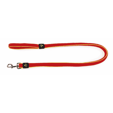 Active Dog city leash