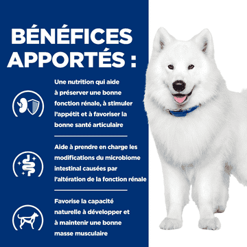 Canine k/d + j/d Kidney + Mobility