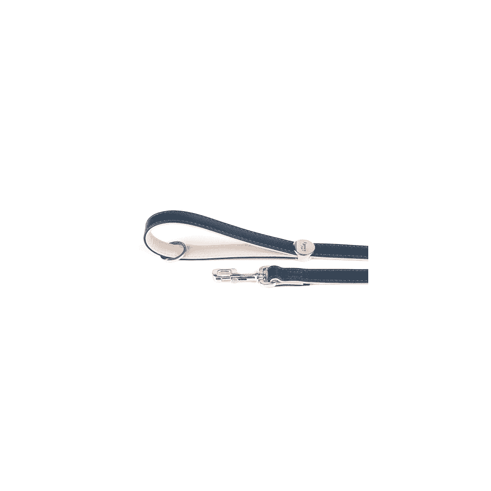 Hermitage Vitello leather Dog leash in blue