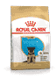 Berger Allemand Puppy