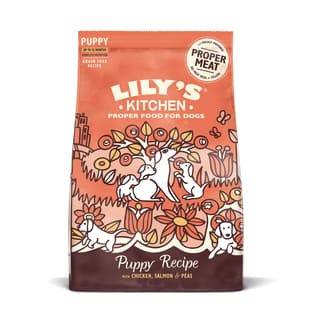 Puppy Recipe