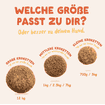 Adult Frisches Huhn