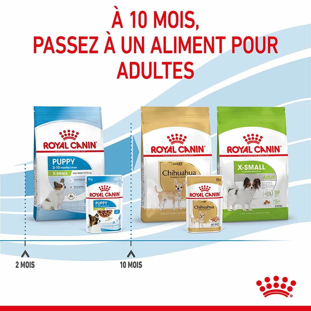 X-Small Puppy Gravy - Sachets