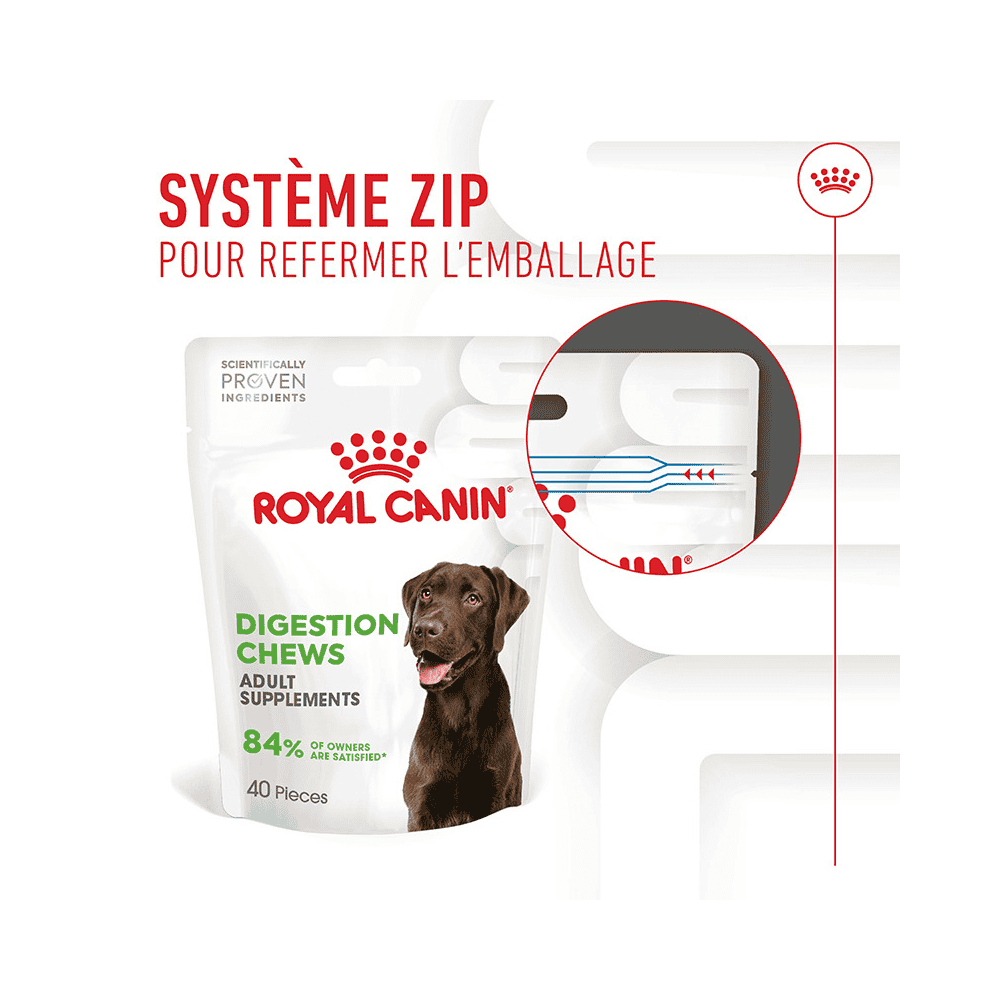 Digestion Chews Adult Supplements
