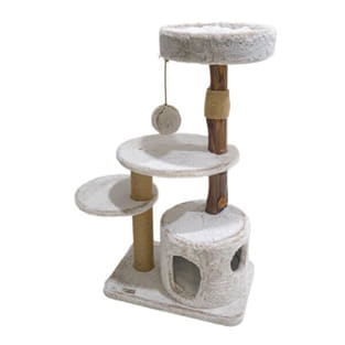 Astra 110 cat scratcher