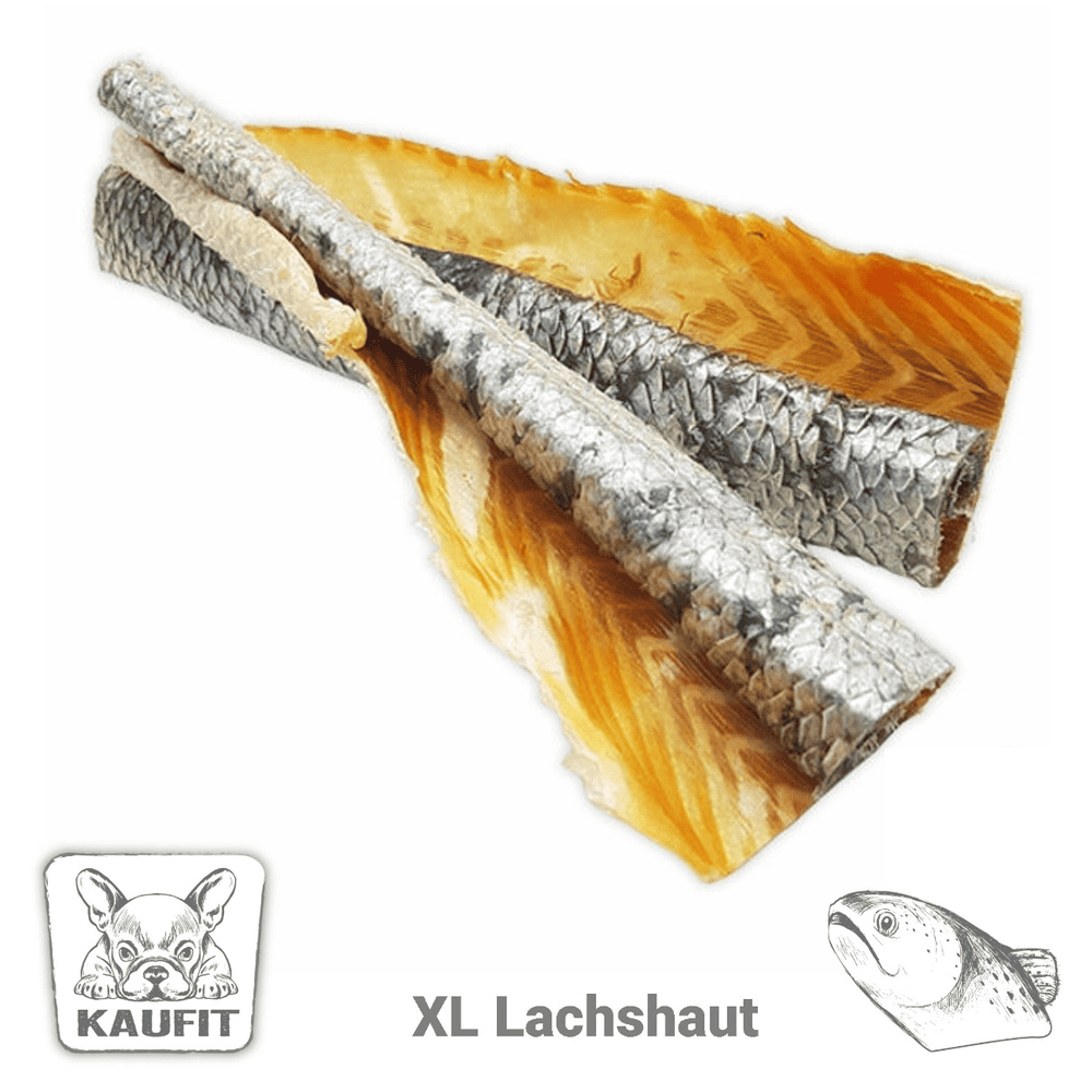 Peau de saumon en tige XL