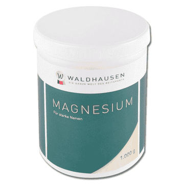 Magnésium